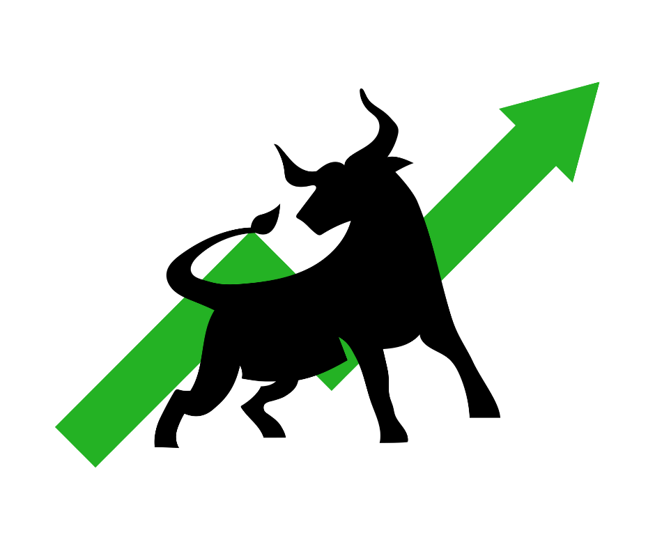 National Stock Exchange of India Limited (NSE) IPO Review